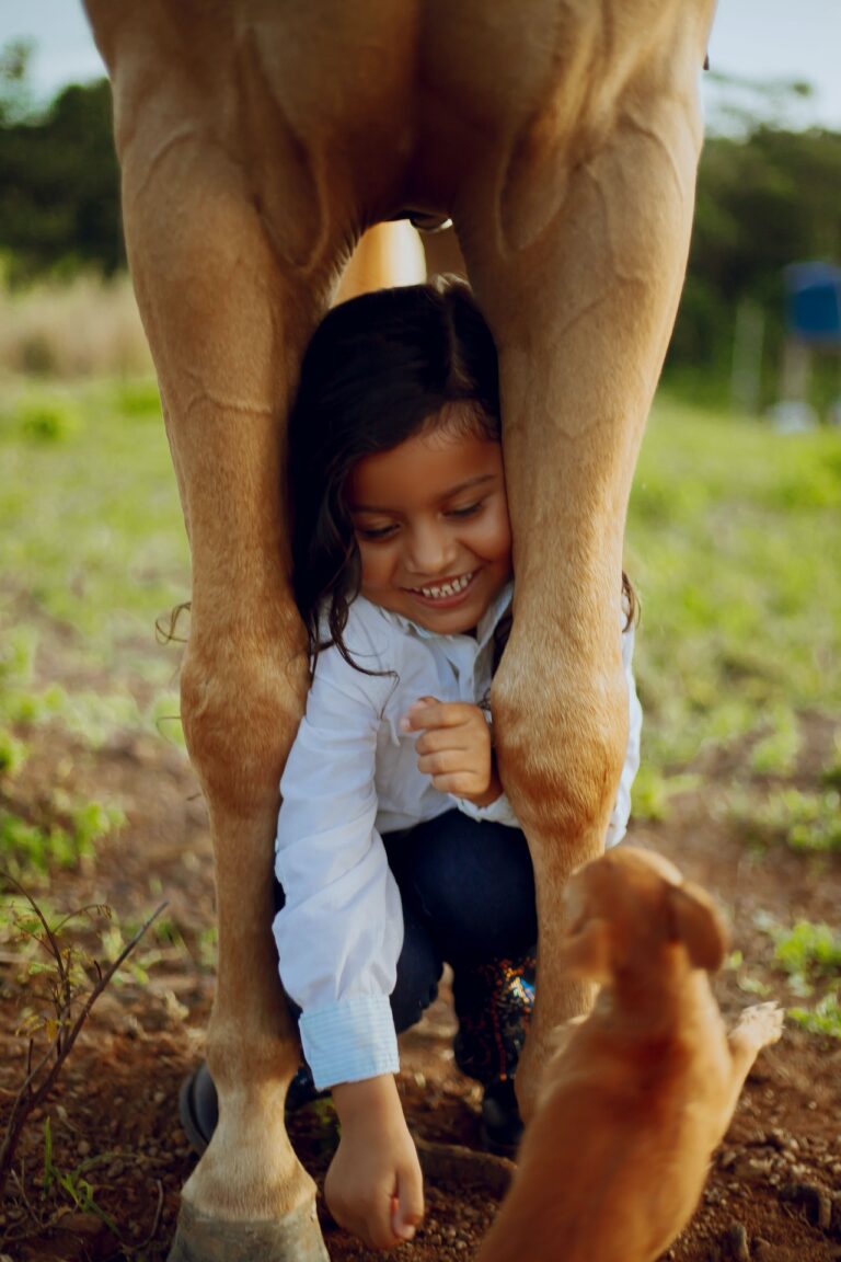 Photo by Efigie lima Marcos : https://www.pexels.com/photo/little-girl-kneeling-between-horse-legs-playing-with-dog-11831348/Photo by Efigie lima Marcos : https://www.pexels.com/photo/little-girl-kneeling-between-horse-legs-playing-with-dog-11831348/